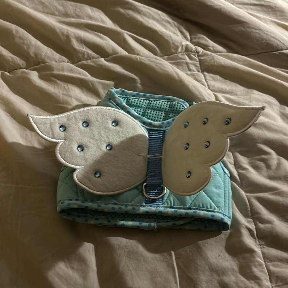 Angel wing dog harness